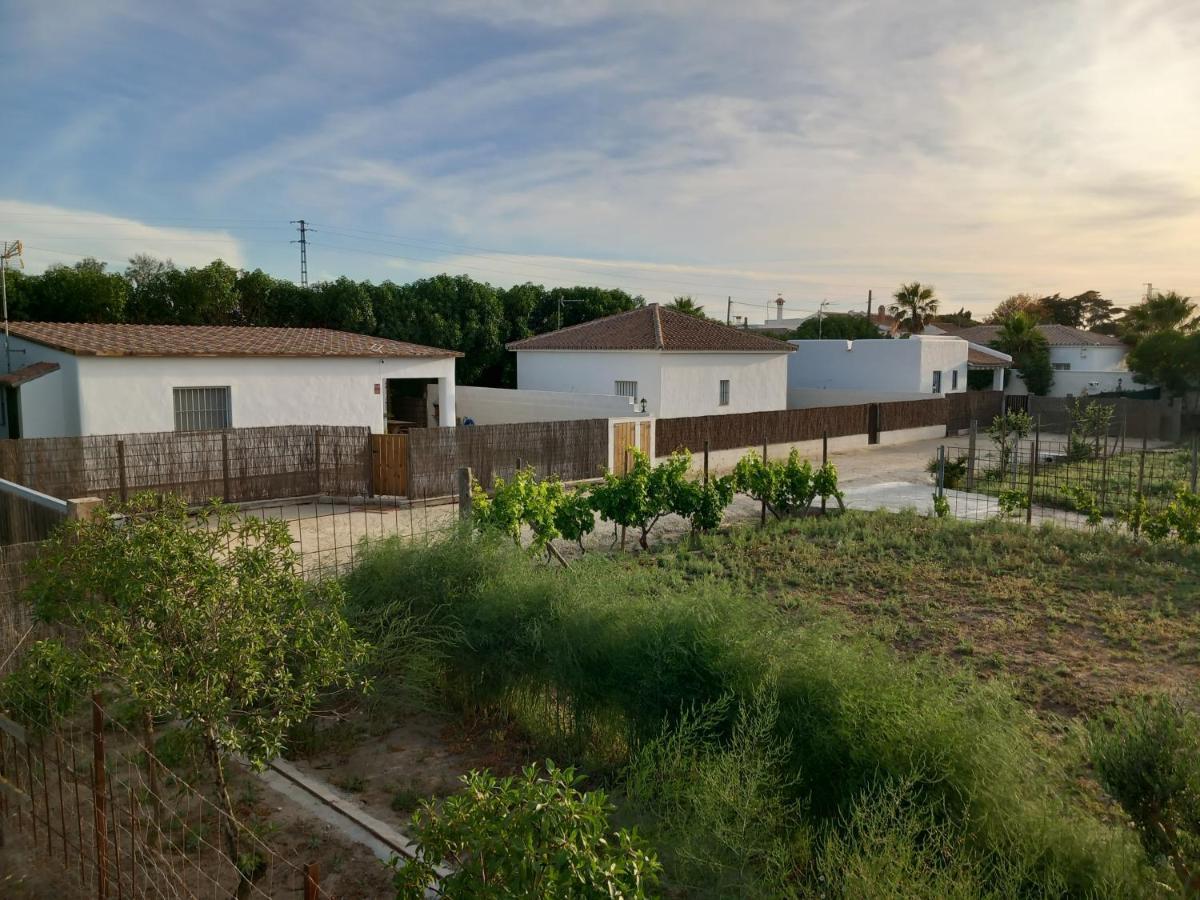 Apartamentos Cala Isabel 자호라 외부 사진
